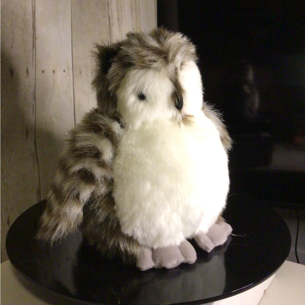 Owl - Picture 4 of 4